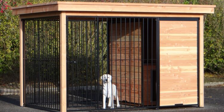 Quel budget pour ouvrir une pension canine ?