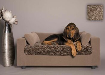 Quel canapé résistant aux griffes de chat ?