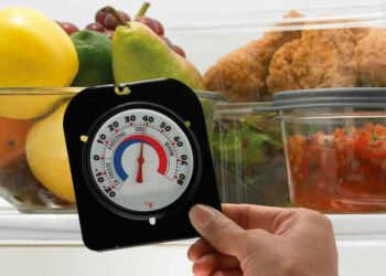 Quel chauffage utiliser pour les serpent ?