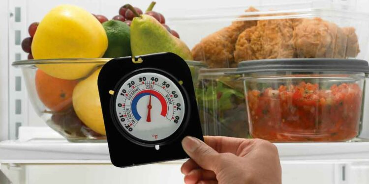 Quel chauffage utiliser pour les serpent ?