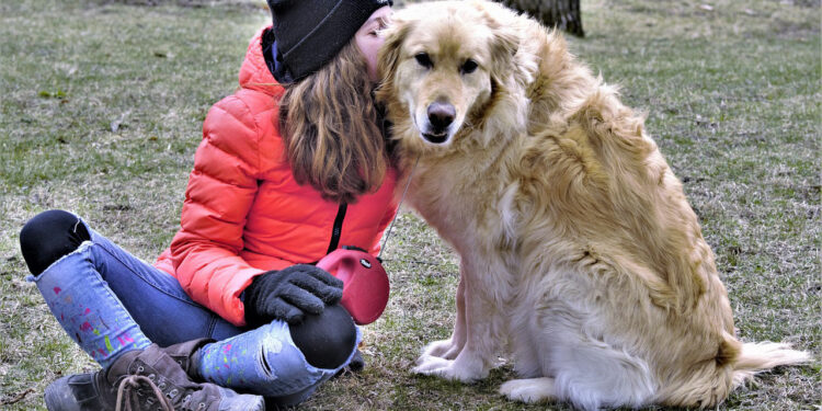Quel chien prendre à 60 ans ?