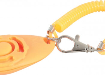 Quel clicker choisir pour son chien ?