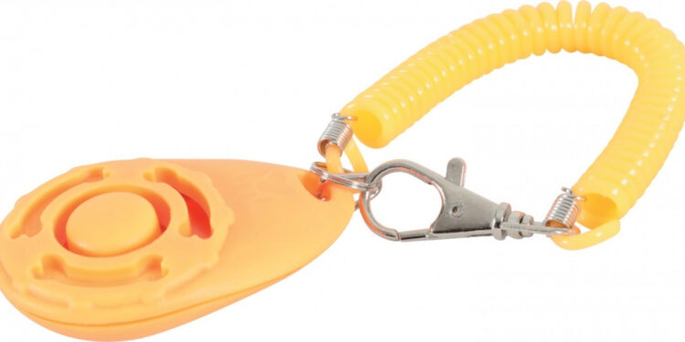 Quel clicker choisir pour son chien ?