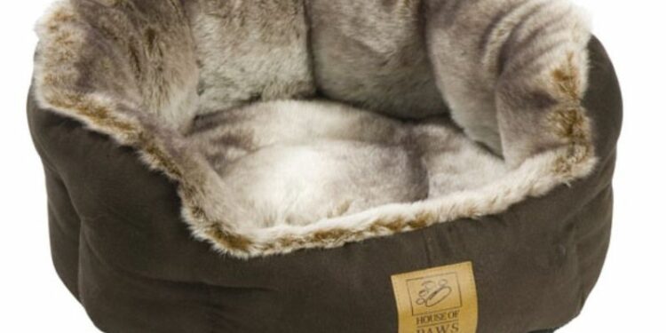 Quel couchage pour chiot ?