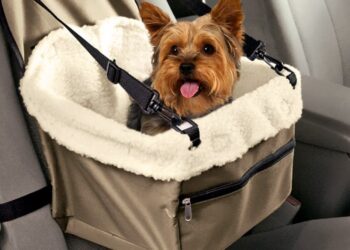 Quel couchage pour un Malinois ?