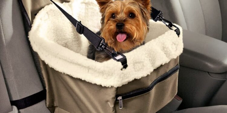 Quel couchage pour un Malinois ?