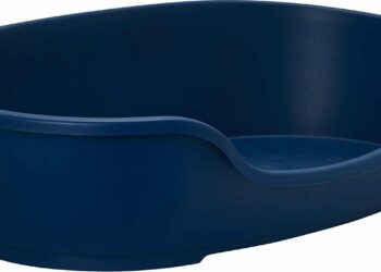 Quel couchage pour un vieux chien ?