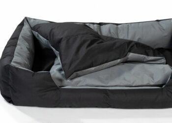 Quel couchage pour un vieux chien ?