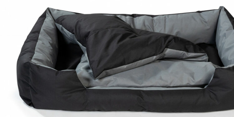 Quel couchage pour un vieux chien ?