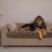 Quel couchage pour un vieux chien ?