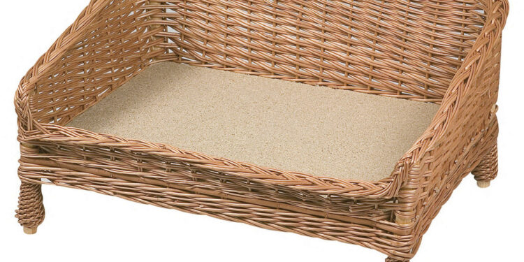 Quel couchage pour un vieux chien ?