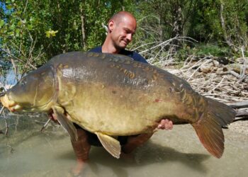 Quel couleur qui attire les poissons ?