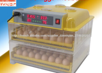 Quel couveuse automatique acheter ?