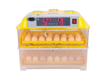 Quel couveuse automatique acheter ?