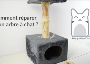 Quel diamètre corde pour arbre à chat ?