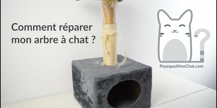 Quel diamètre corde pour arbre à chat ?