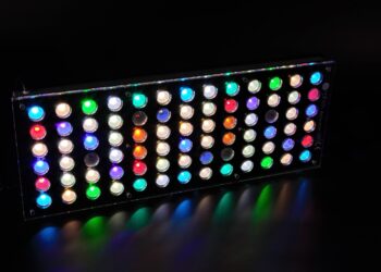 Quel éclairage LED pour aquarium eau douce ?