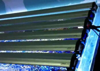 Quel éclairage pour un aquarium de 100l ?