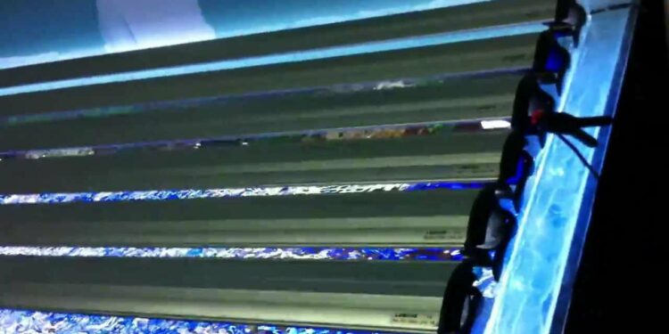 Quel éclairage pour un aquarium de 100l ?