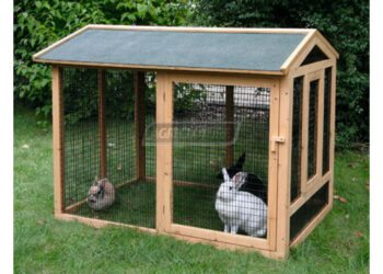 Quel enclos extérieur pour lapin ?