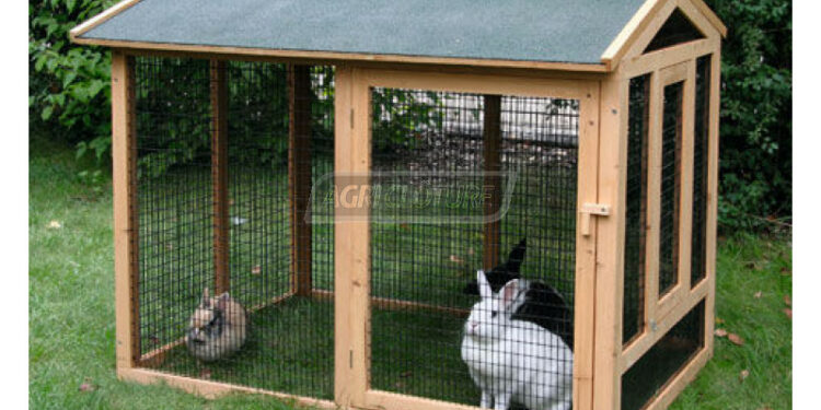 Quel enclos extérieur pour lapin ?