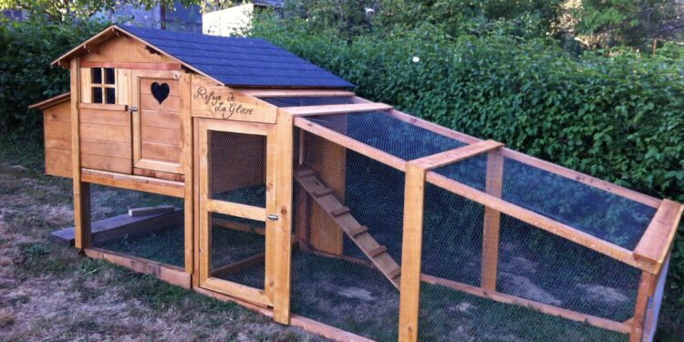 Quel enclos pour 4 poules ?