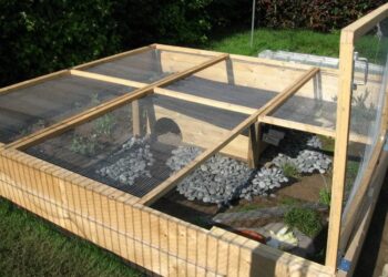 Quel enclos pour les poules ?