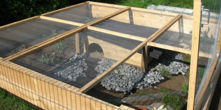 Quel enclos pour les poules ?