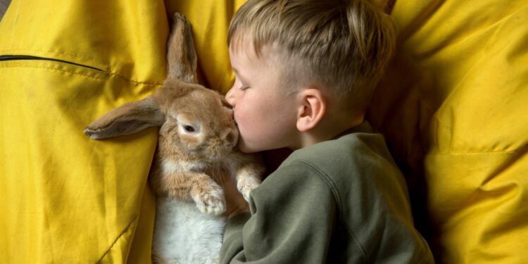 Quel entretien pour un lapin ?