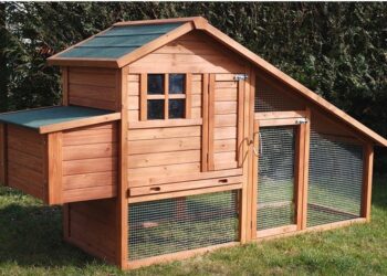 Quel espace Faut-il pour 6 poules ?