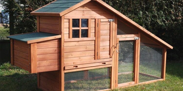 Quel espace Faut-il pour 6 poules ?