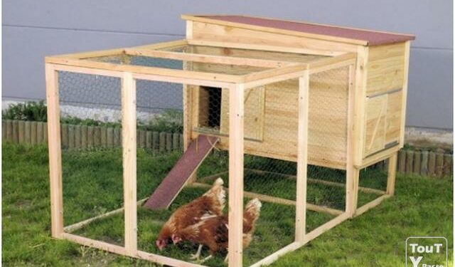 Quel espace pour 1000 pondeuses ?