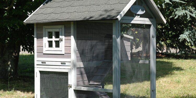 Quel espace pour 2 poules ?