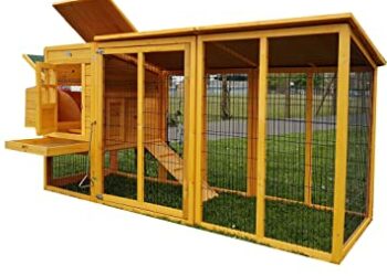 Quel espace pour 4 poules ?