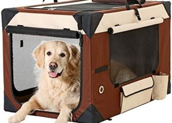 Quel est la durée maximum de transport d'un chien sans qu'il puisse sortir du véhicule ?