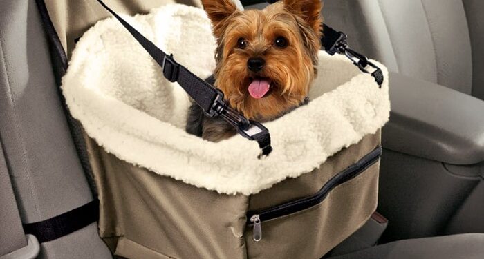 Quel est la durée maximum de transport d'un chien sans qu'il puisse sortir du véhicule ?