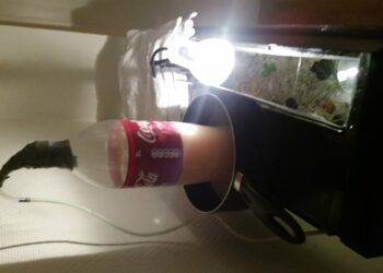 Quel est la meilleure eau pour un aquarium ?