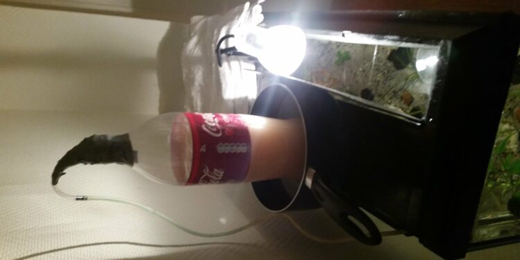 Quel est la meilleure eau pour un aquarium ?