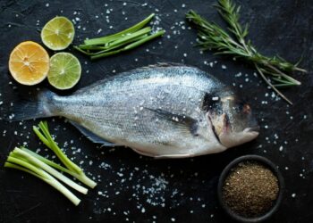 Quel est la nourriture préférée des poissons ?