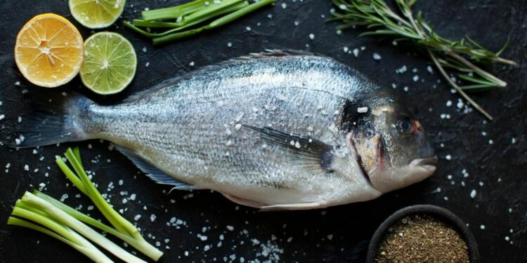 Quel est la nourriture préférée des poissons ?