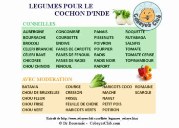 Quel est l'aliment préféré des cochons d'Inde ?