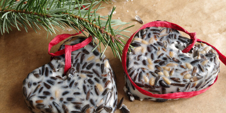 Quel est l'aliment préféré des oiseaux ?