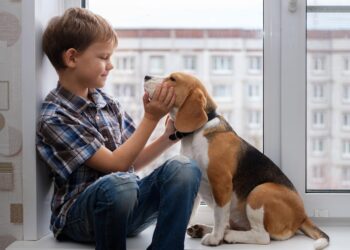 Quel est l'animal le plus câlin ?