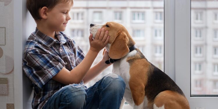 Quel est l'animal le plus câlin ?