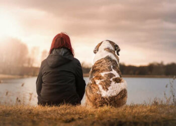 Quel est l'animal le plus câlin ?