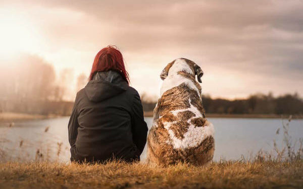 Quel est l'animal le plus câlin ?
