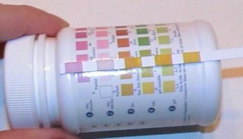 Quel est le bon pH pour un aquarium ?