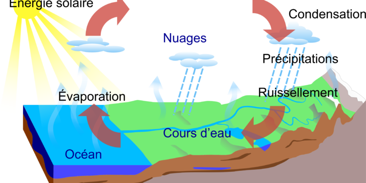 Quel est le bon taux de TDS piscine ?