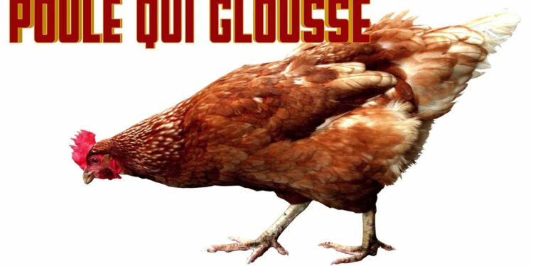 Quel est le cri du taureau ?