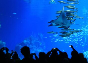 Quel est le deuxième plus grand aquarium d'Europe ?